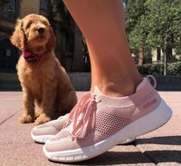 Nieuwe klompen en sneakers van Suecos Nieuwe klompen en sneakers van Suecos