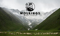 Lopen als een koning Lopen als een koning