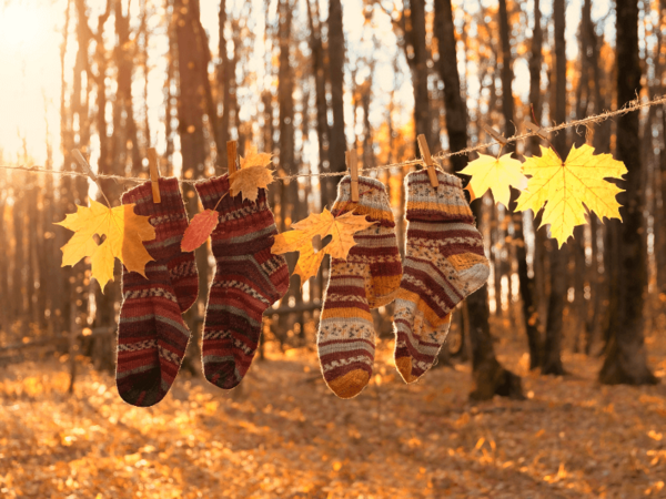 Dit zijn de 5 populairste sokken