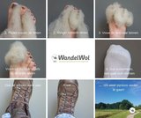 wandelwol1.JPG