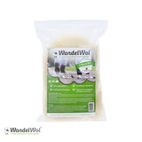 wandelwol2.JPG