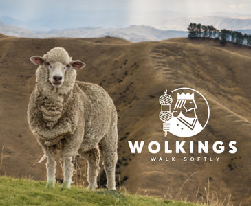 Wolkings Anti druk wol